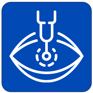 Home icon1