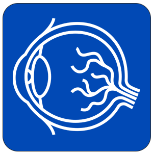 眼神經
